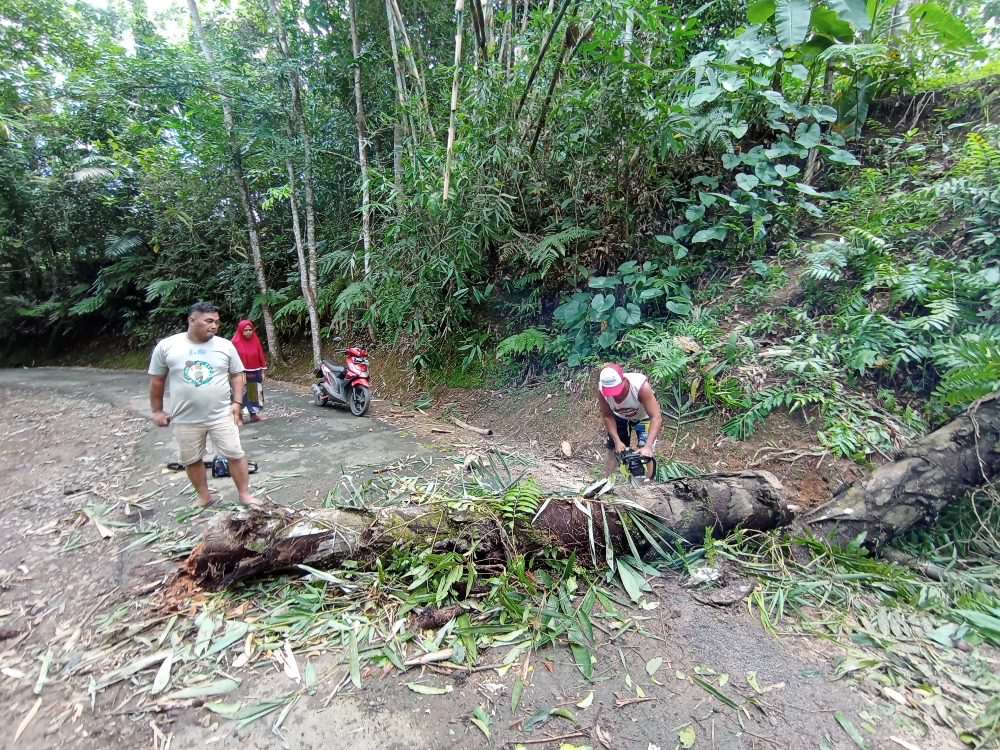 POHON TUMBANG RESPON CEPAT SATGAS BENCANA DESA KARYAMUKTI